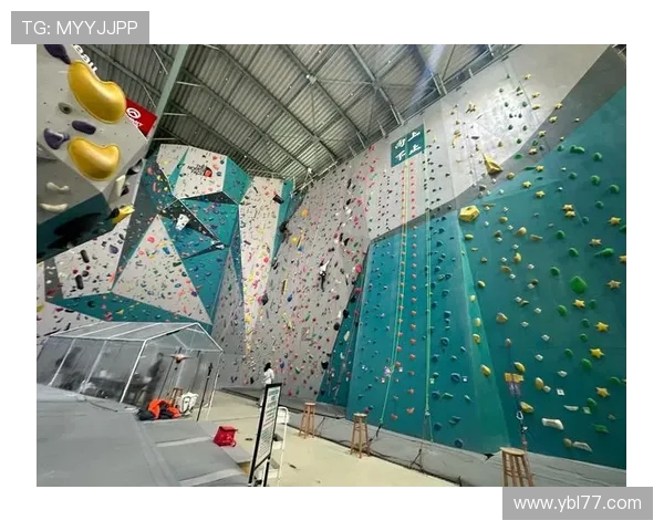 深入分析上海攀岩队的运营策略与发展模式探讨 深入分析上海攀岩队的运营策略与发展模式探讨